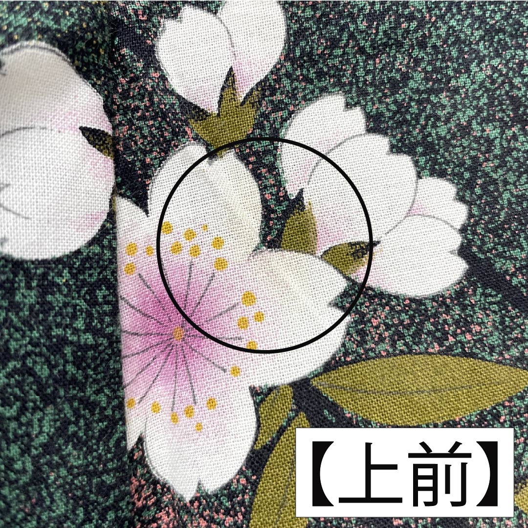 浴衣 木綿 身丈162cm 裄丈68cm Bランク 単衣 グラデーション系 萌葱色（もえぎいろ） 長春色（ちょうしゅんいろ） 桜 1118005984499