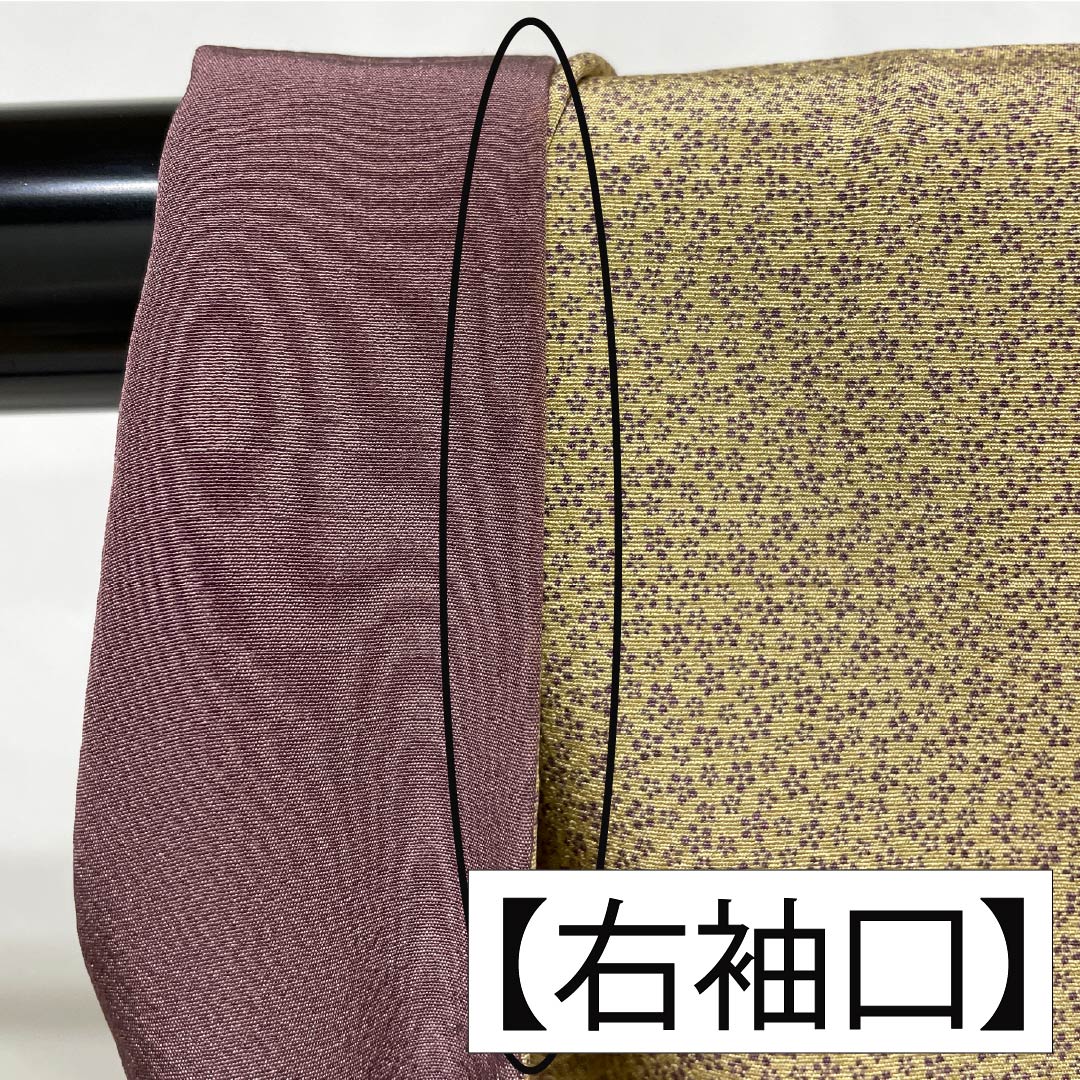 小紋 正絹 Aランク 身丈155.5cm 裄丈66cm 袷 胡桃色（くるみいろ） 小梅 型染 ベージュ系 1115006723325