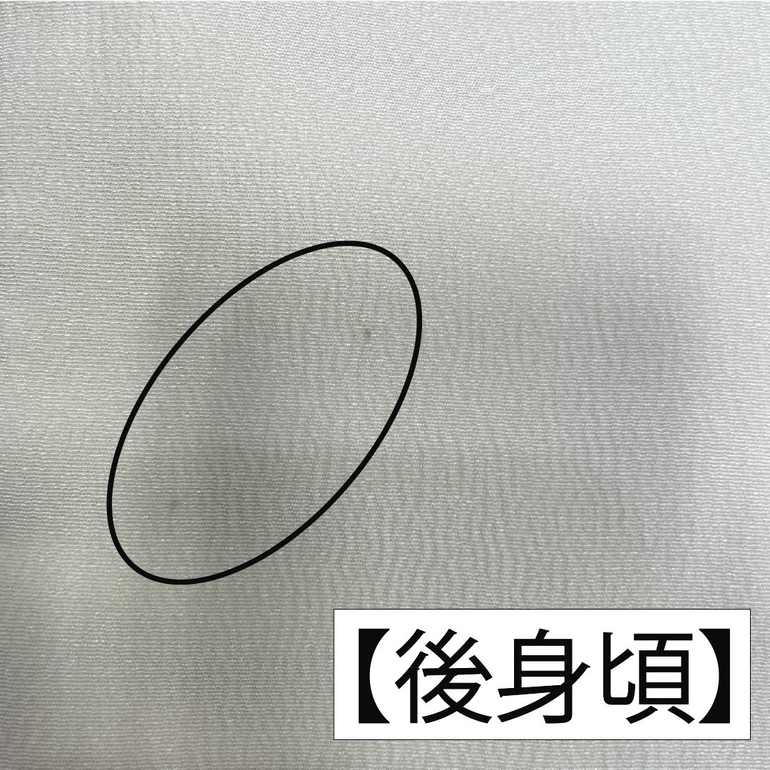 振袖 正絹 Aランク 身丈167cm 裄丈69cm 袷 生成り色（きなりいろ） 型染 吉祥文様 松 菖蒲 白系 1113002273511