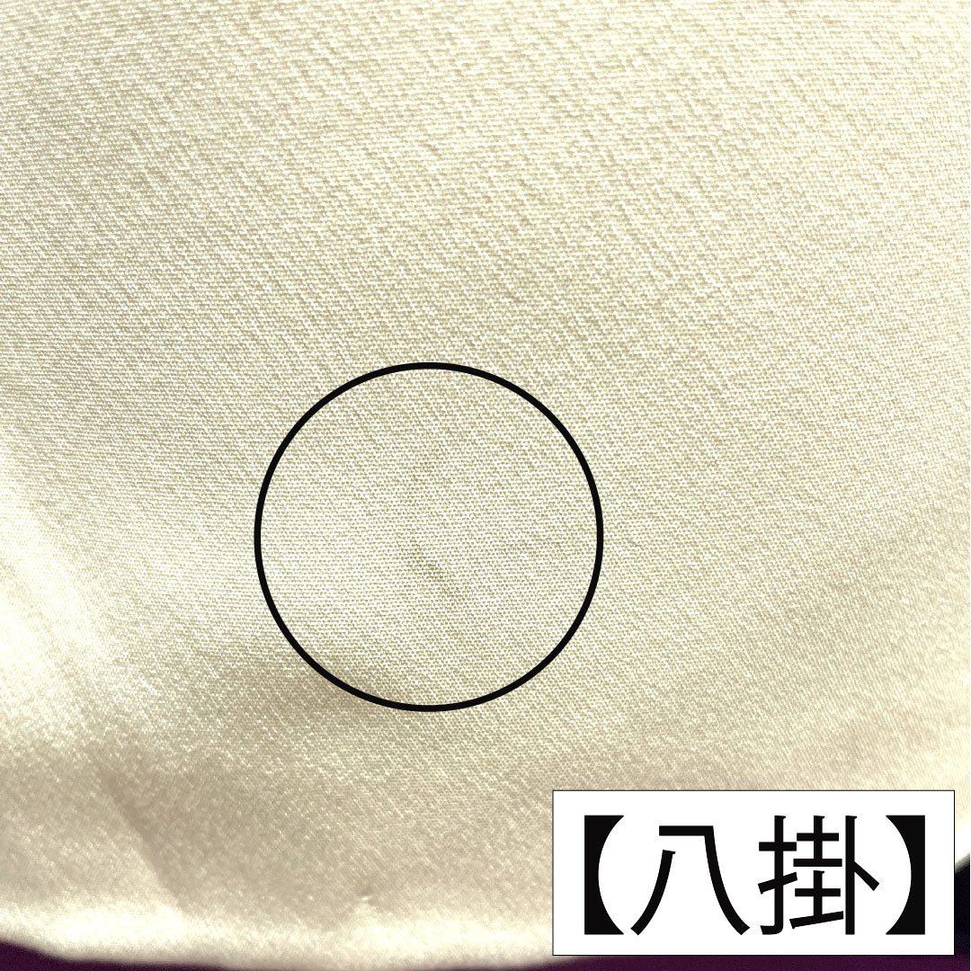 Homongi, pure silk, lined, length 156cm, sleeve length 61.5cm, light egg color, Kyo-Yuzen, A rank, cream color, 1112004563315