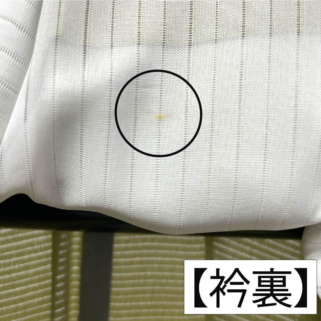 夏物 正絹 色無地 Aランク 身丈166cm 裄丈67cm 裏柳色（うらやなぎいろ） 素無地 居敷当て付き 絽 緑系 1132005683519