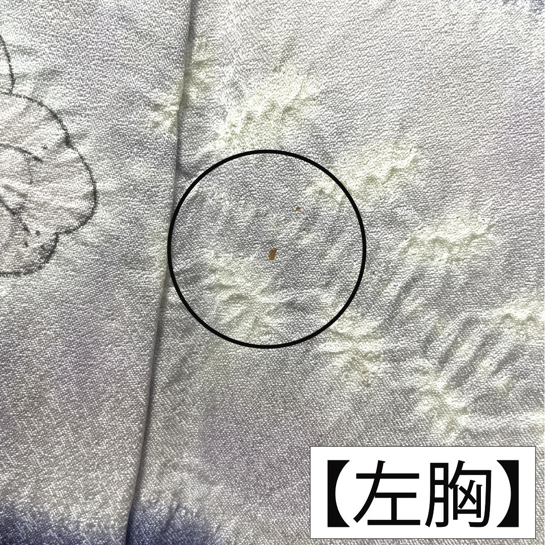 訪問着 正絹 袷 身丈154cm 裄丈63cm 鉄葡萄色（てつぶどういろ） 辻ヶ花 タタキ染 Aランク 紺系 1112005133218