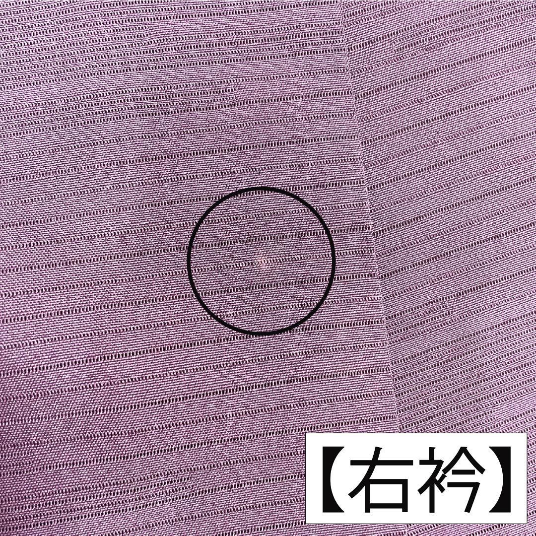 夏物 正絹 色無地 Aランク 身丈157.5cm 裄丈65.5cm 牡丹鼠色（ぼたんねずいろ） 素無地 向い蝶 一つ紋 絽 紫系 1132003483320