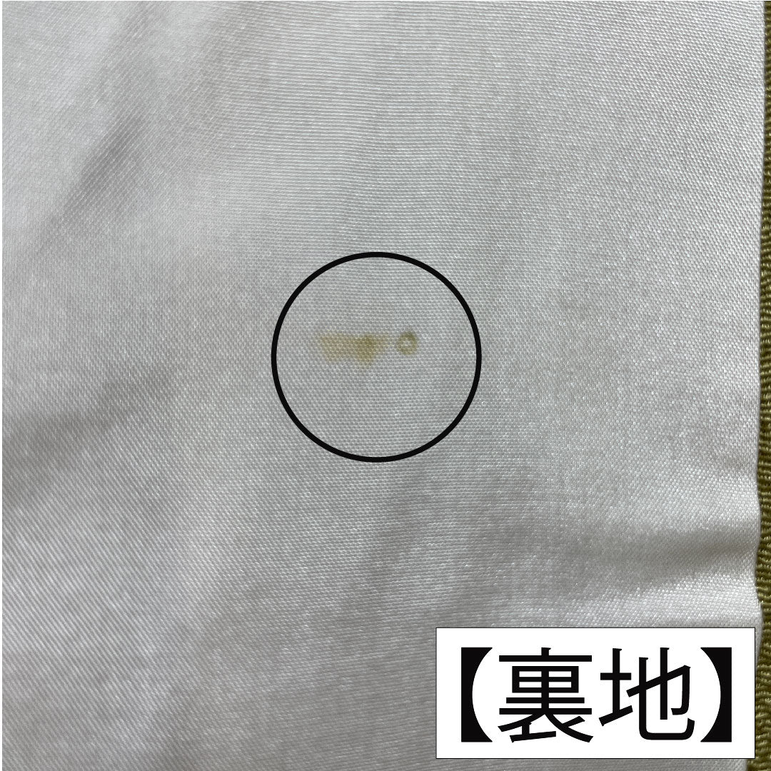 Homongi, pure silk, lined, length 155.5cm, sleeve length 67.5cm, Karakaneiro, Kyoto Yuzen, crepe, floral pattern, A rank, green, 1112005953319