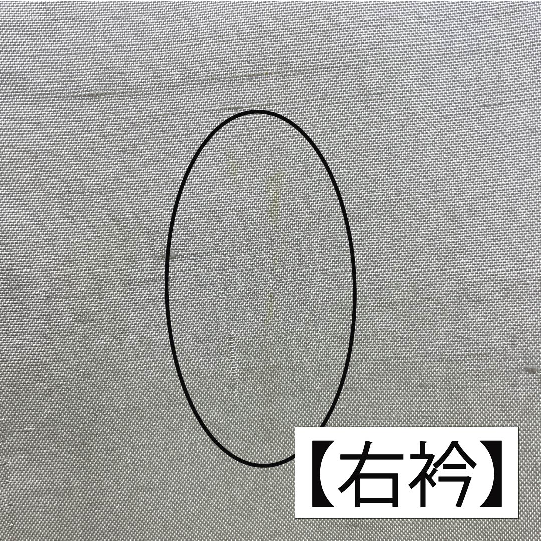 訪問着 正絹 Bランク 袷 身丈161.5cm 裄丈63.5cm 灰白色（かいはくしょく） 牛首紬 抽象模様 純一郎 作家物 しつけ糸付き グレー系 1112006994422