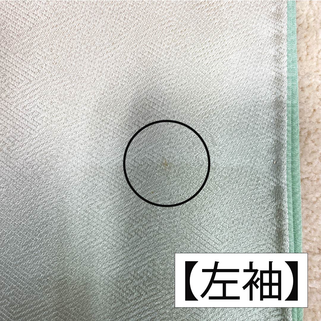 訪問着 正絹 Aランク 袷 身丈159cm 裄丈63.5cm 胡桃色（くるみいろ） 蘇州刺繡 付下げ 御所車 ベージュ系 1112006663325