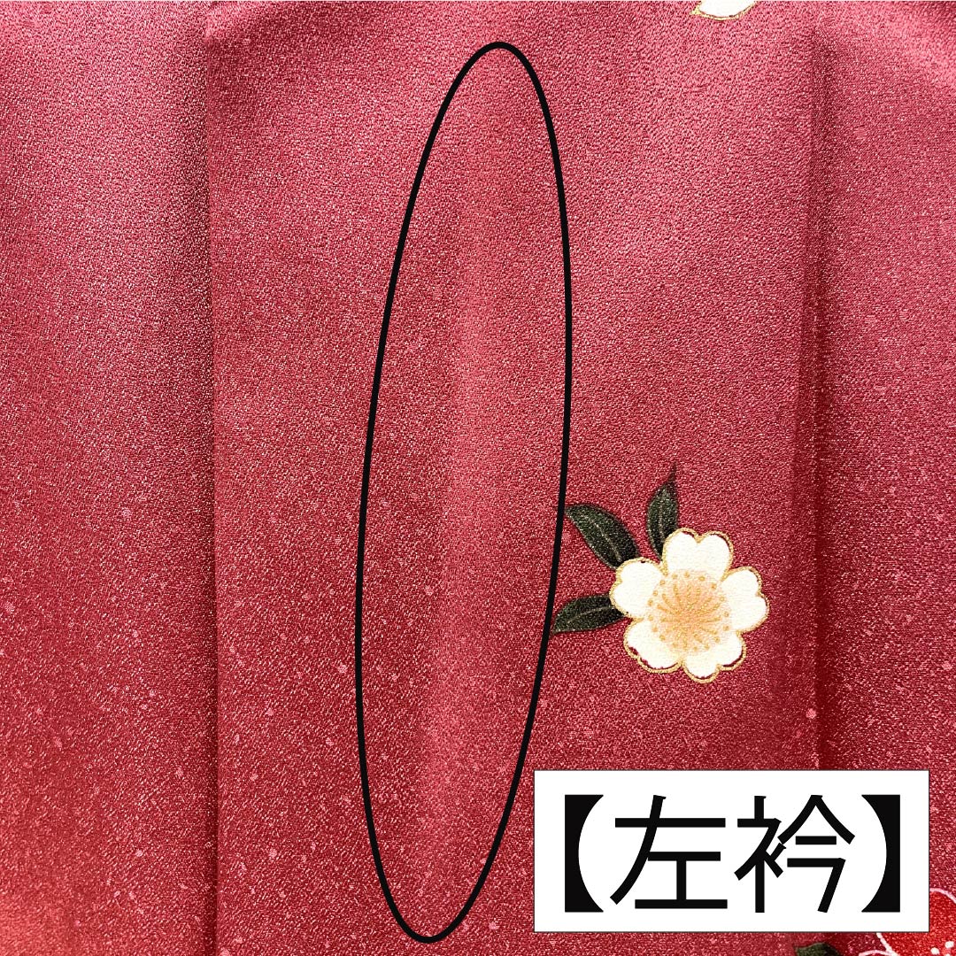 振袖 正絹 Aランク 身丈153.5cm 裄丈64cm 袷 紅鶸色（べにひわいろ） 京友禅 花丸文 牡丹 ソフトガード加工 ピンク系 1113002843213