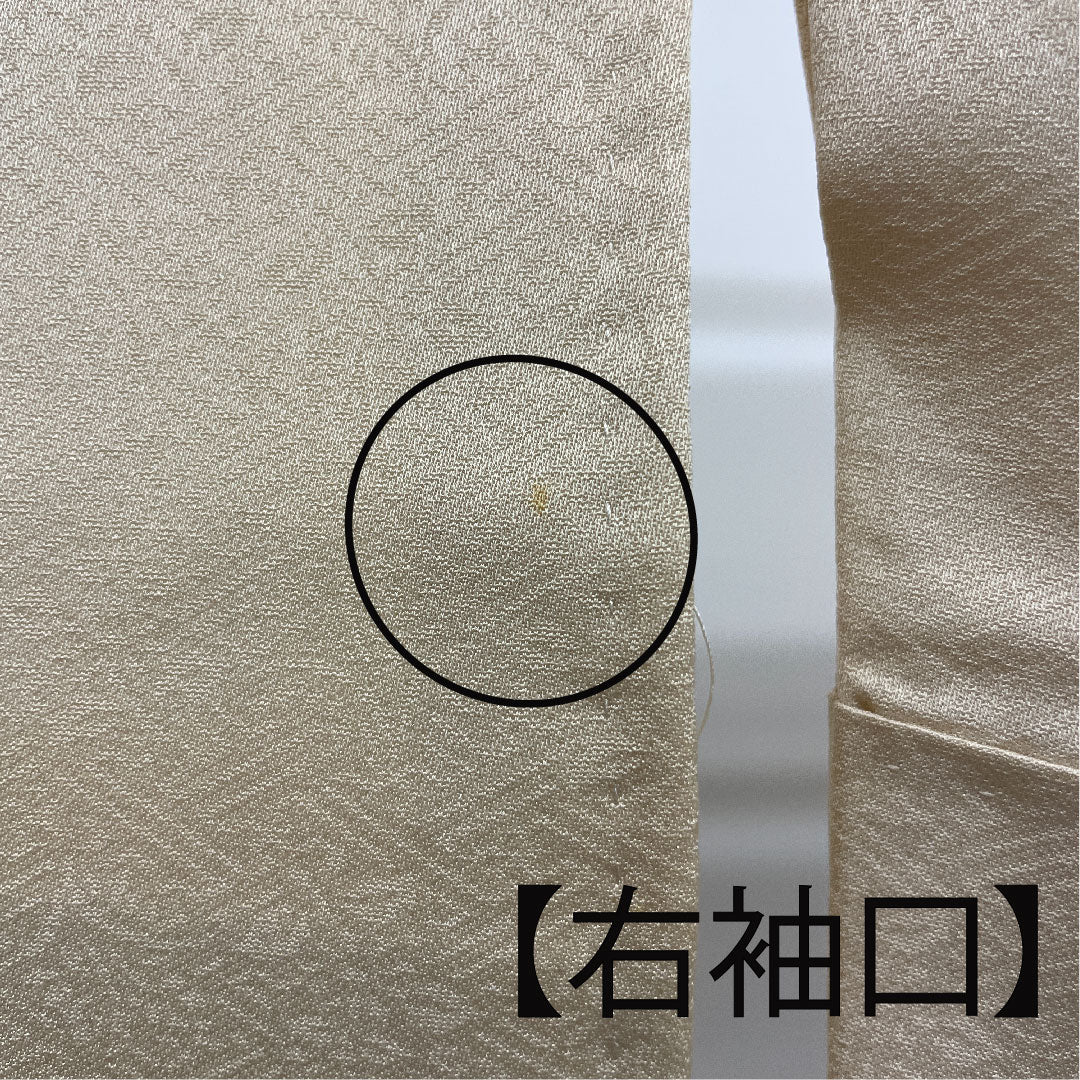 色留袖 身丈157cm 裄丈64cm 袷 東京友禅 正絹 Bランク 三つ紋 クリーム系 1111000284315