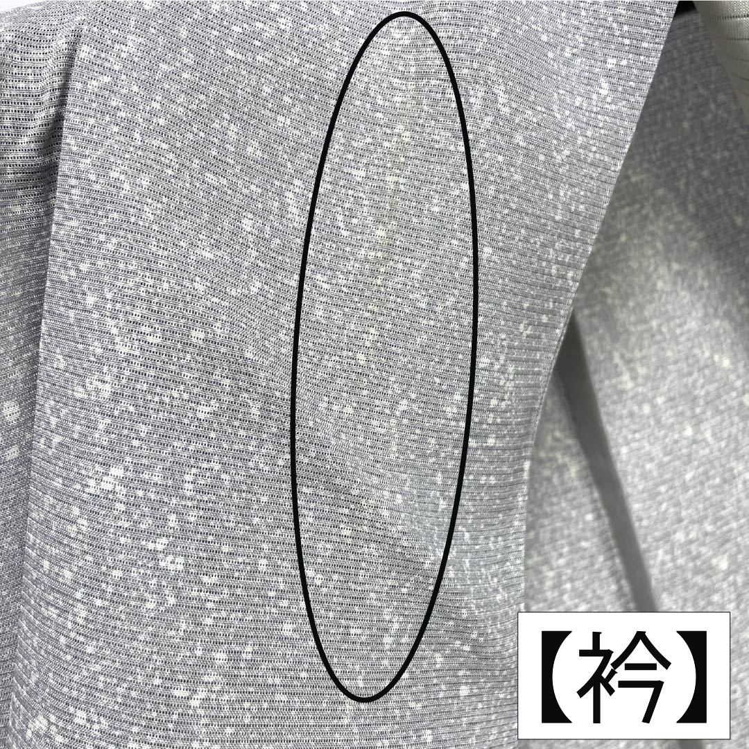 夏物 正絹 小紋 Aランク 身丈156cm 裄丈65.5cm 銀灰色（ぎんかいしょく） タタキ染 一つ紋 丸に上り藤 絽 グレー系 1132006423322