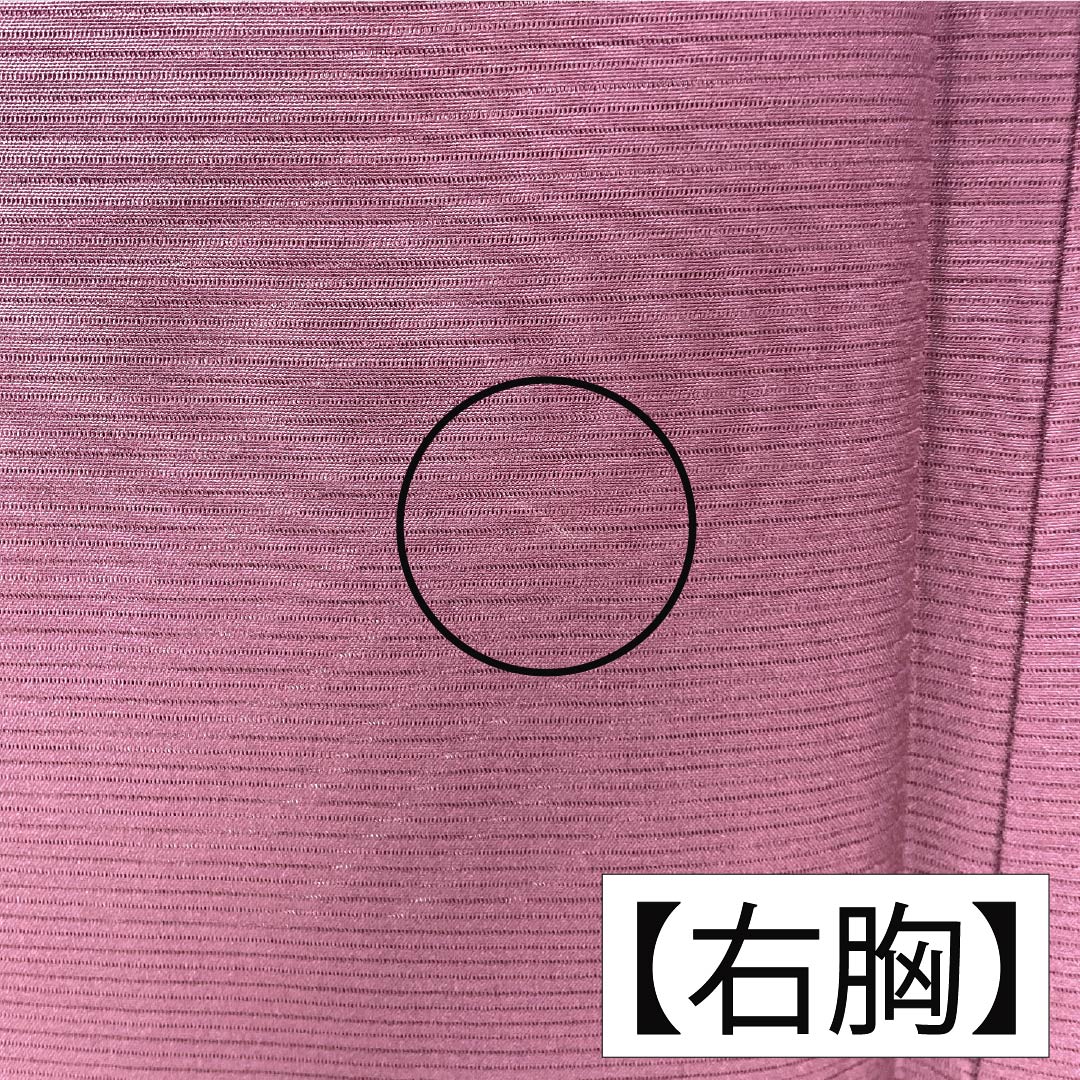 リサイクル着物】夏物 正絹 色無地 Aランク 身丈150cm 裄丈62cm 桑の実