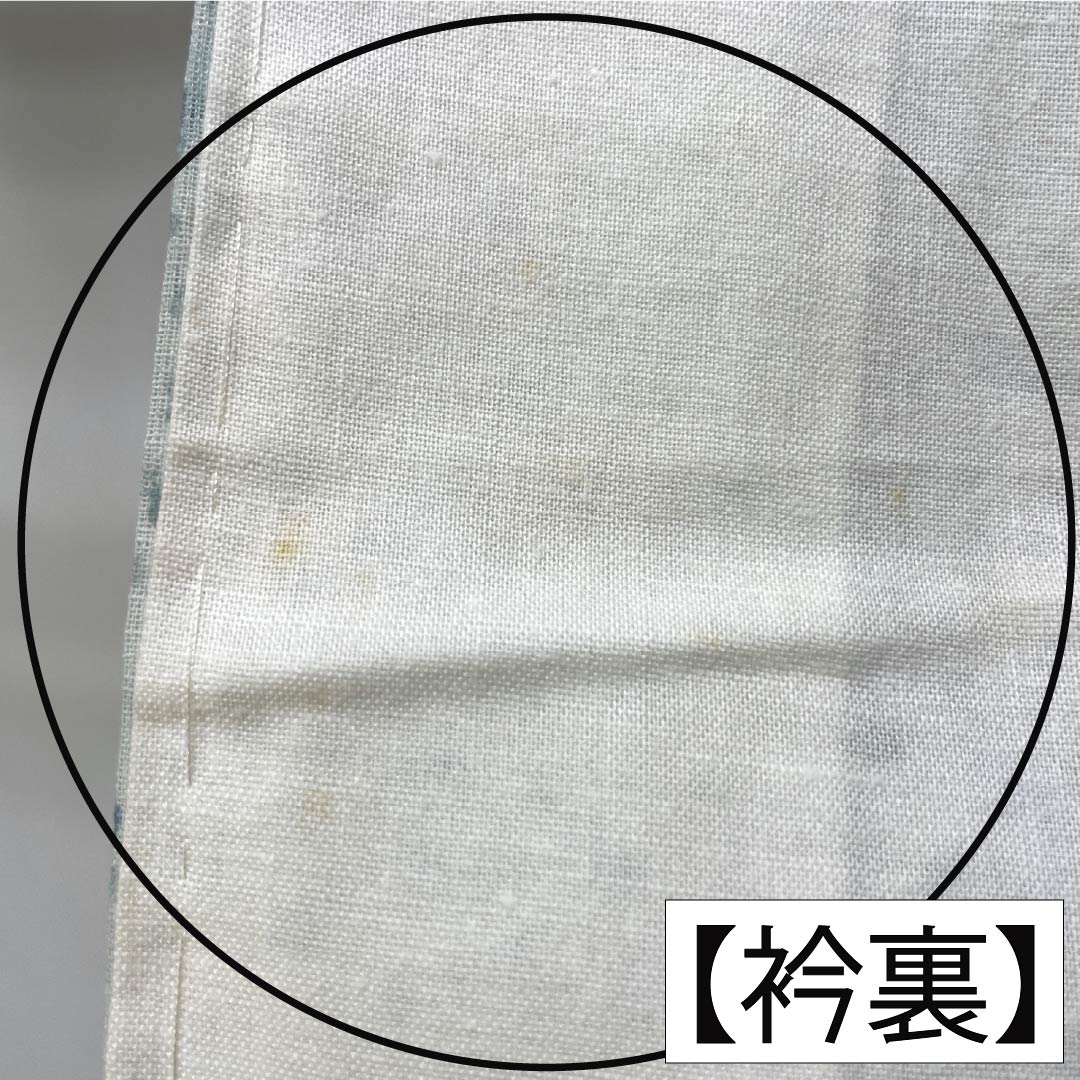 夏物 ポリエステル 紬 Aランク 身丈166.5cm 裄丈64cm 青白磁色（せいはくじいろ） 洗える着物 露芝 蝶 紗 水色系 1132007073524