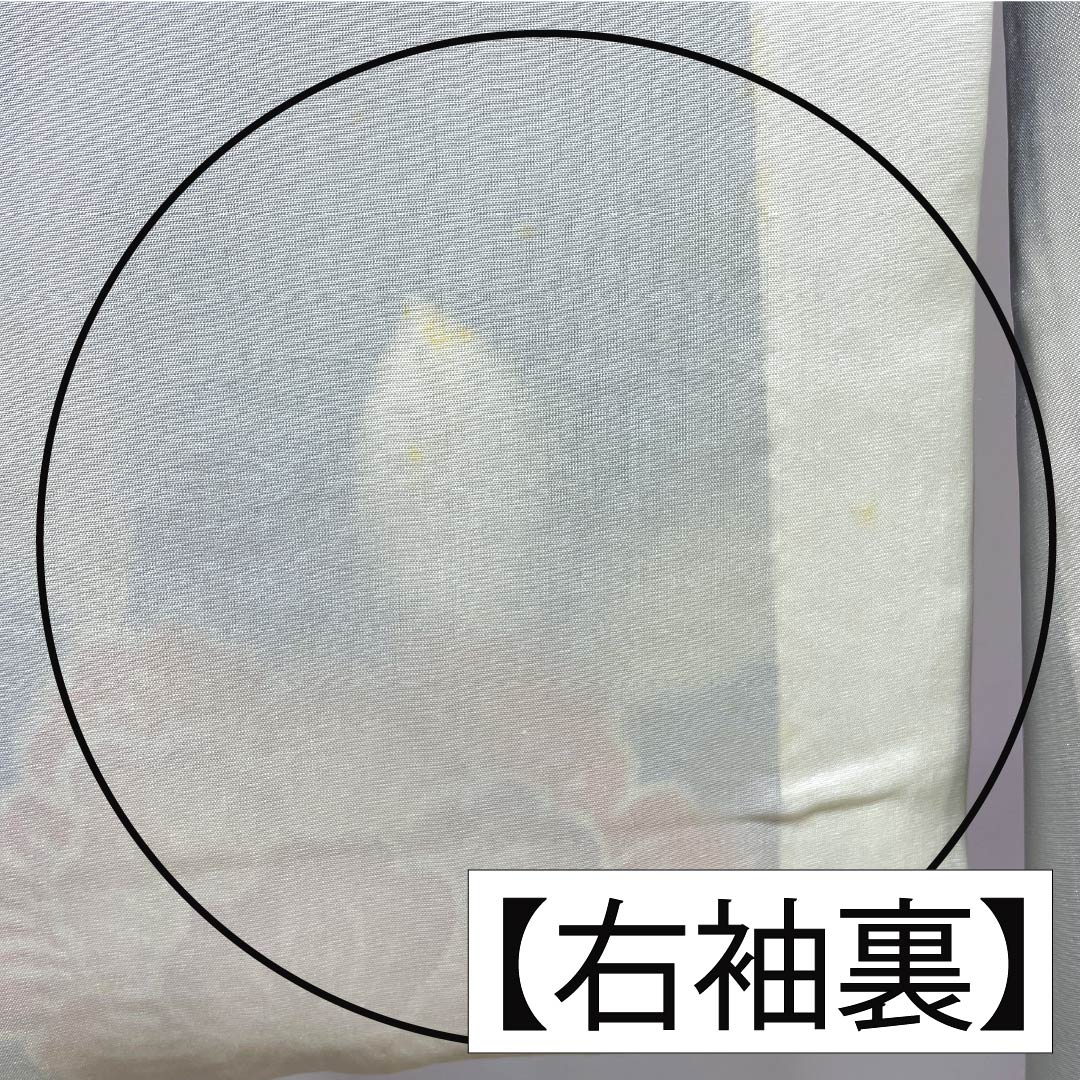 訪問着 正絹 Bランク 袷 身丈158cm 裄丈63.5cm 紺瑠璃色（こんるりいろ） 京紅型 吉祥文様 松竹梅 菖蒲 鳥 青系 1112007284317