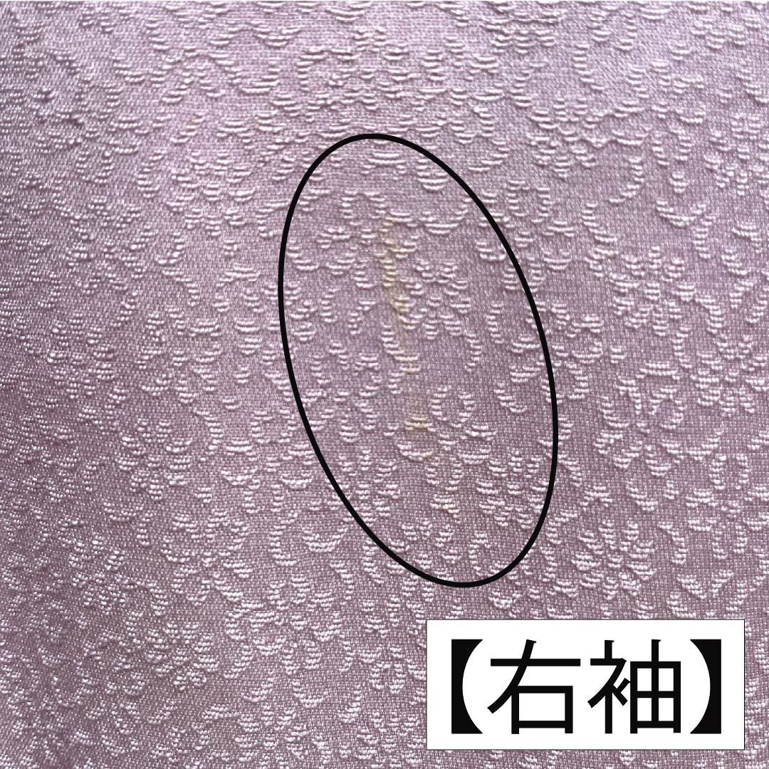 訪問着 正絹 Bランク 袷 身丈165.5cm 裄丈67.5cm 淡紅藤色（うすべにふじいろ） 付下げ 草花 紫系 1112007404520