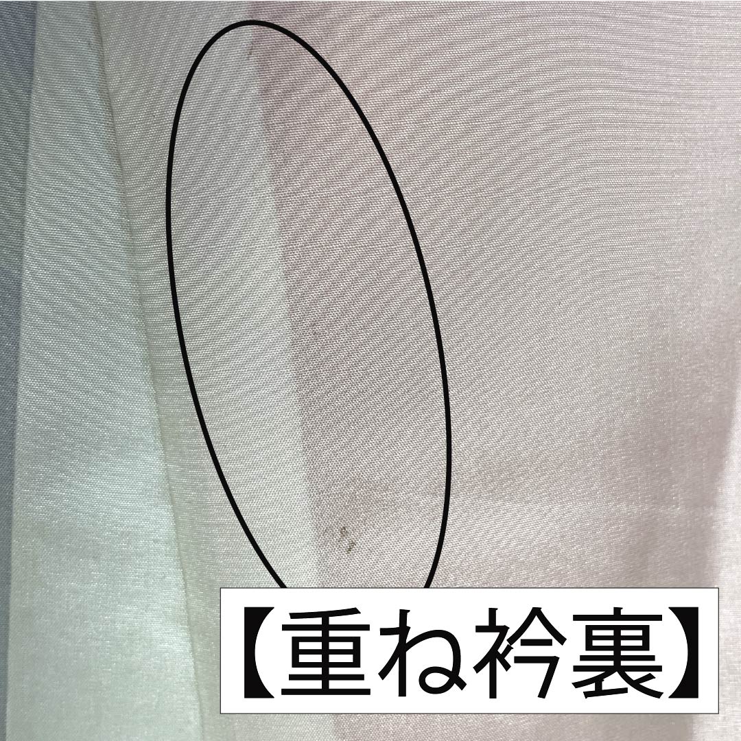 振袖 正絹 Aランク 身丈153cm 裄丈60.5cm 袷 型染 吉祥文様 梅 菊 ちりめん地 重ね衿付き 青系 1113002233217