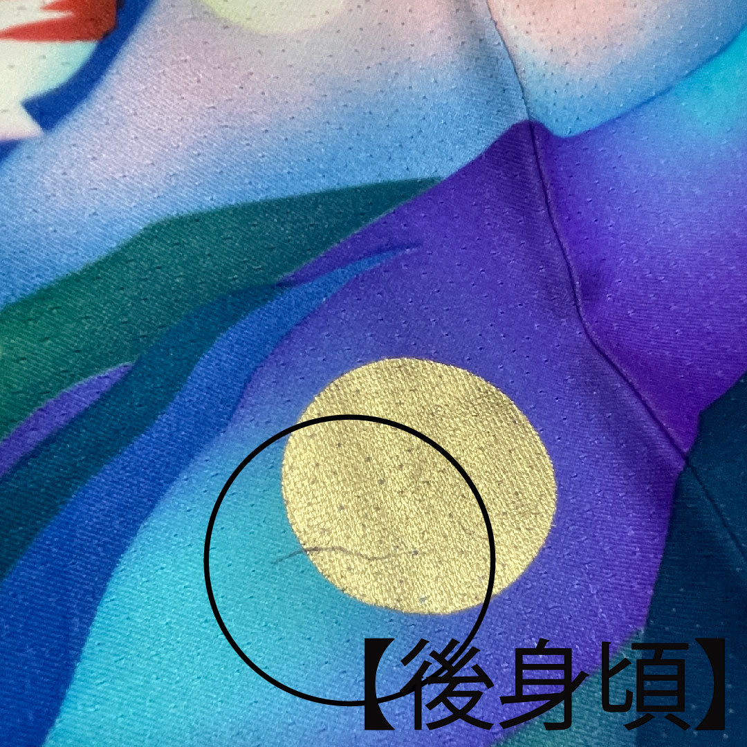 振袖 身丈176.5cm 裄丈64cm 袷  瑠璃色 花鳥模様  正絹 Bランク 紺系 1113001484818