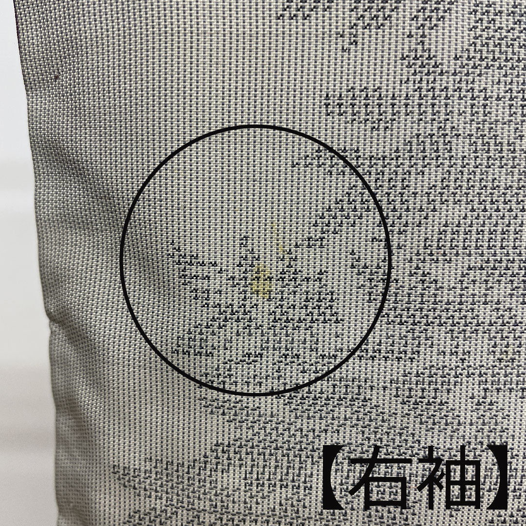 大島紬 身丈160cm 裄丈66cm 草花模様 正絹 Bランク 袷 グレー系 1116001484422