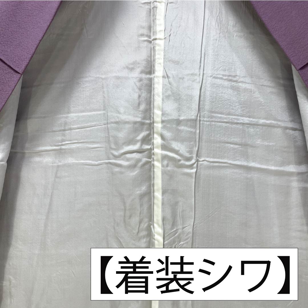 訪問着 正絹 Aランク 袷 身丈155.5cm 裄丈60cm 京藤色（きょうふじいろ） 無地付下げ 汕頭刺繡 雪輪 揚羽蝶 縫い紋 紫系 1112007033320