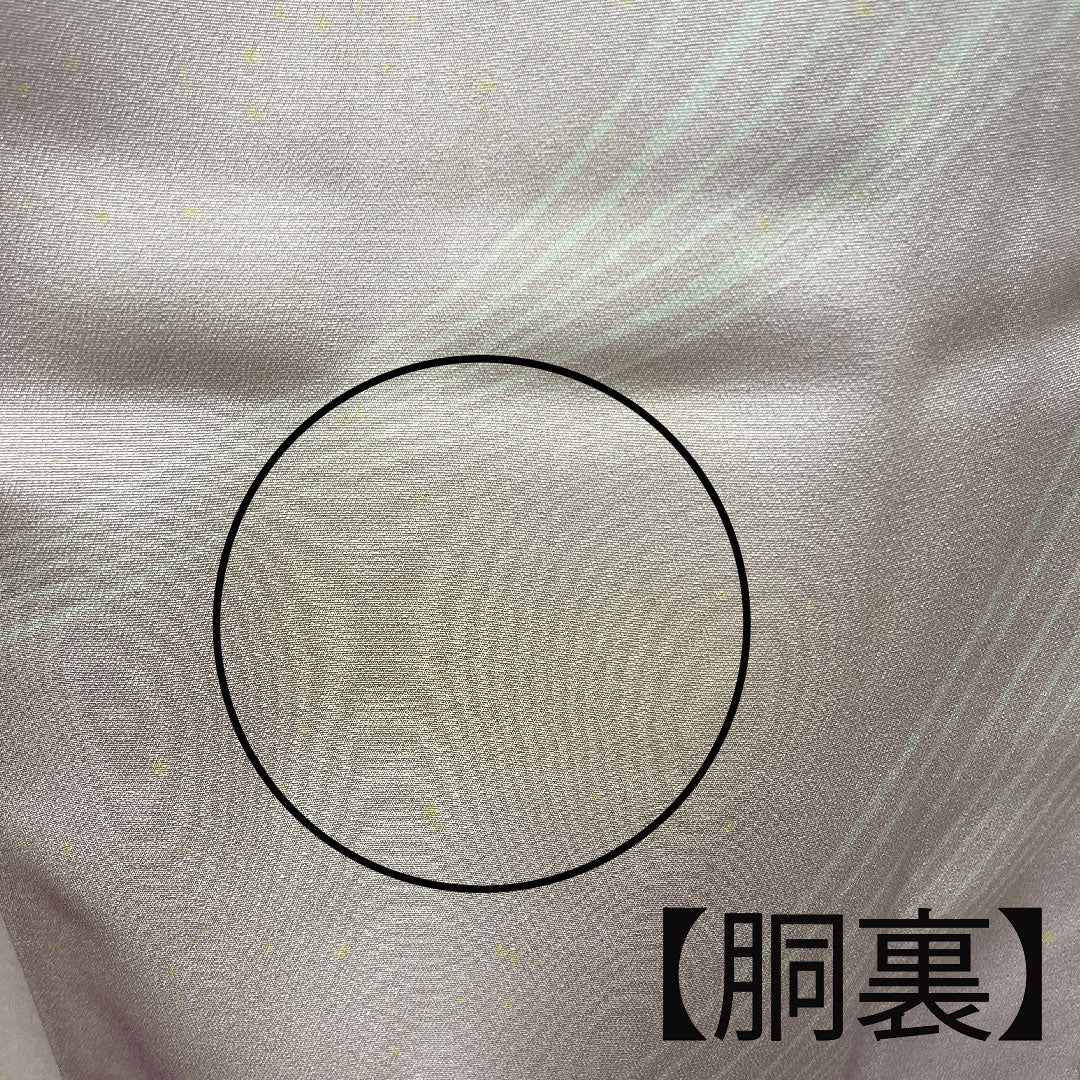 訪問着 袷 身丈157.5cm 裄丈62.5cm 退紅色 流水 草花模様 正絹 Aランク ピンク系 1112002183313