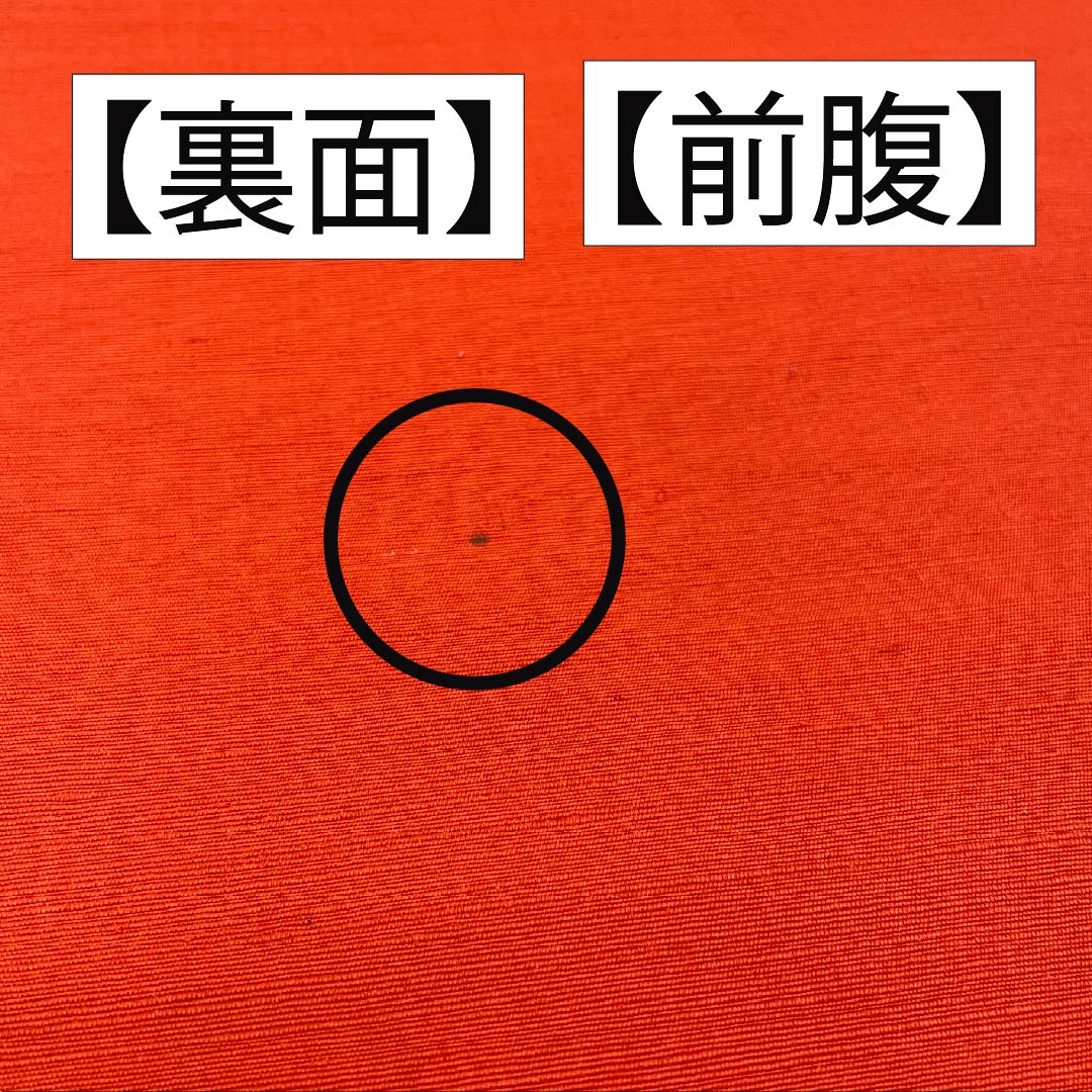 リサイクル着物】名古屋帯 赤紅色（あかべにいろ） 染め帯 京袋帯 更紗