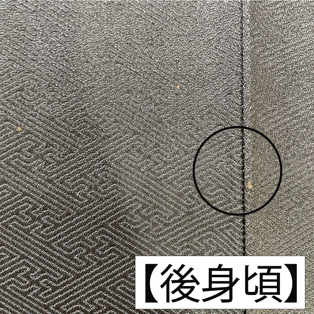 訪問着 正絹 袷 身丈164cm 裄丈63.5cm 藍鼠色（あいねずいろ） 部分絞り 桜 Aランク グレー系 1112005773422