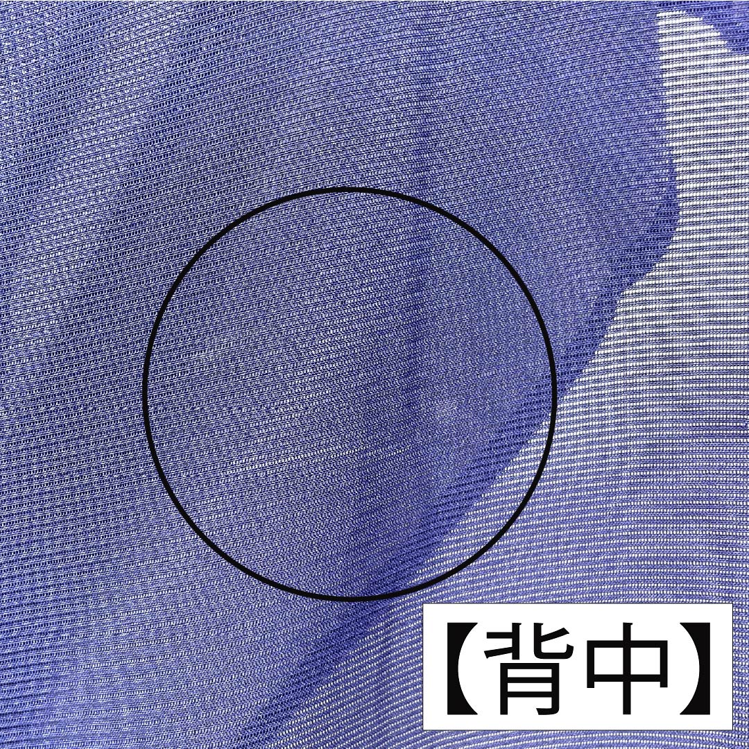 夏物 正絹 訪問着 Aランク 身丈158.5cm 裄丈62.5cm 濃桔梗色（こいききょういろ） 付下げ 秋草模様 蛍 絽 紺系 1132004703318