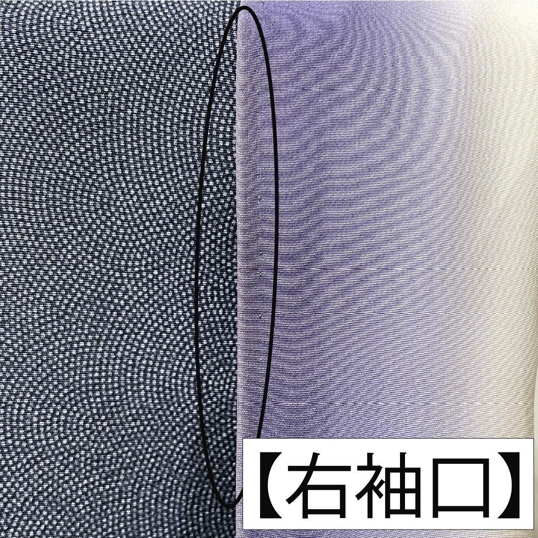 Komon, pure silk, length 159cm, sleeve length 64.5cm, lined, navy blue iron color, Edo komon, Gokusame komon, Seigaiha, A rank, navy blue, 1115005163318