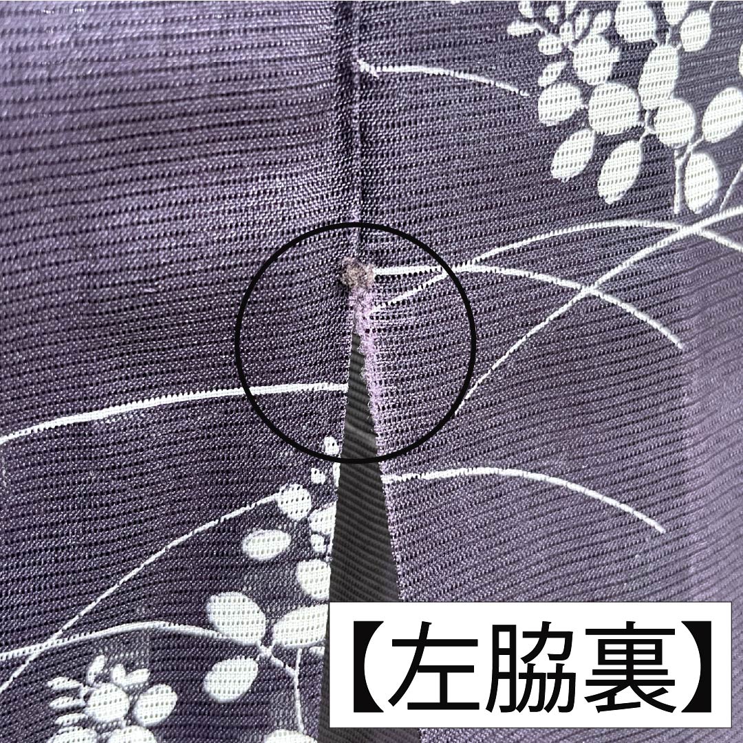 夏物 ポリエステル 小紋 身丈158cm 裄丈63cm 紫烏色（しうしょく） 露芝 草花 洗える着物 絽 Bランク 紫系 1132002044320