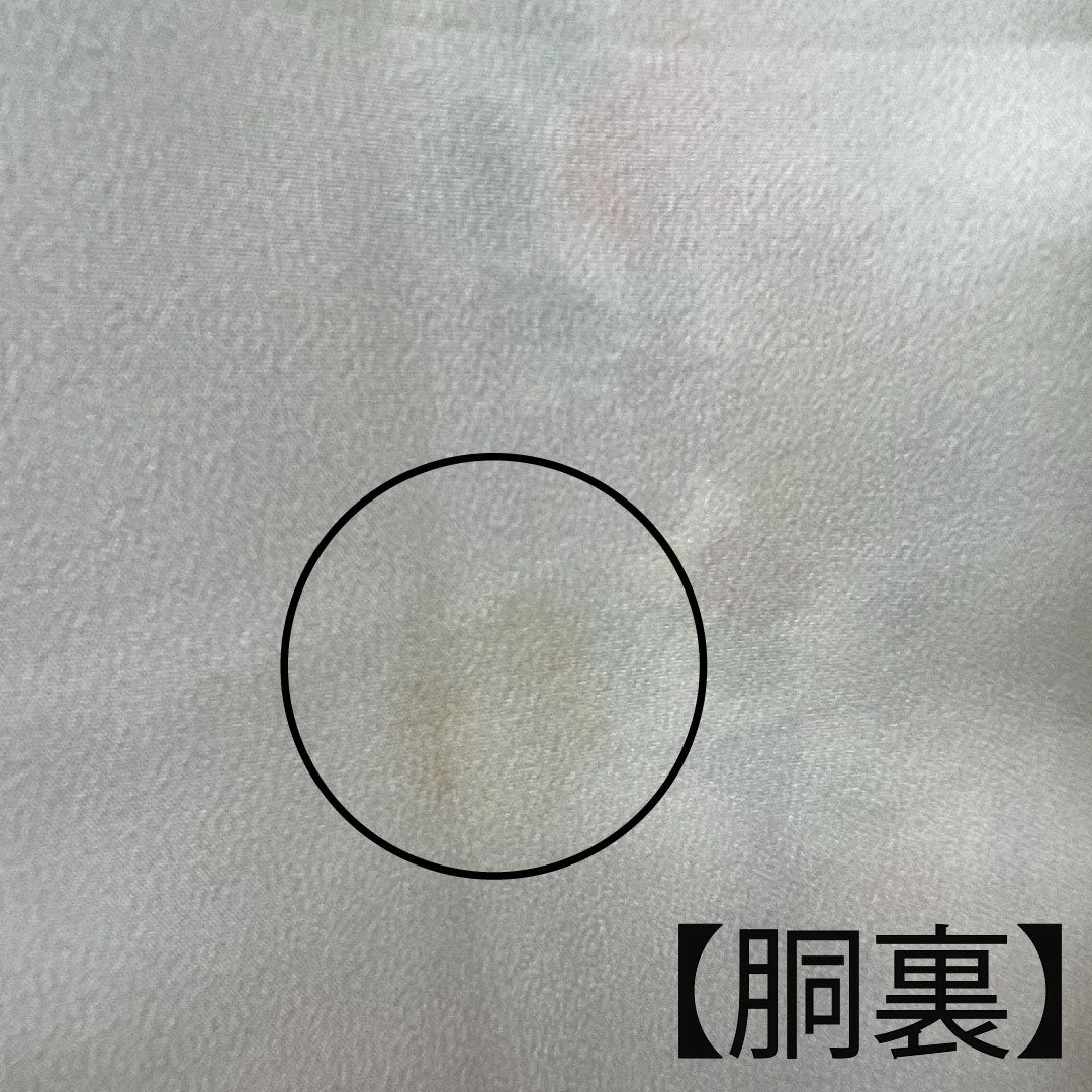 小紋 身丈156cm 裄丈60cm 袷  胡粉色 草花模様  正絹 Aランク 白系 1115003073311