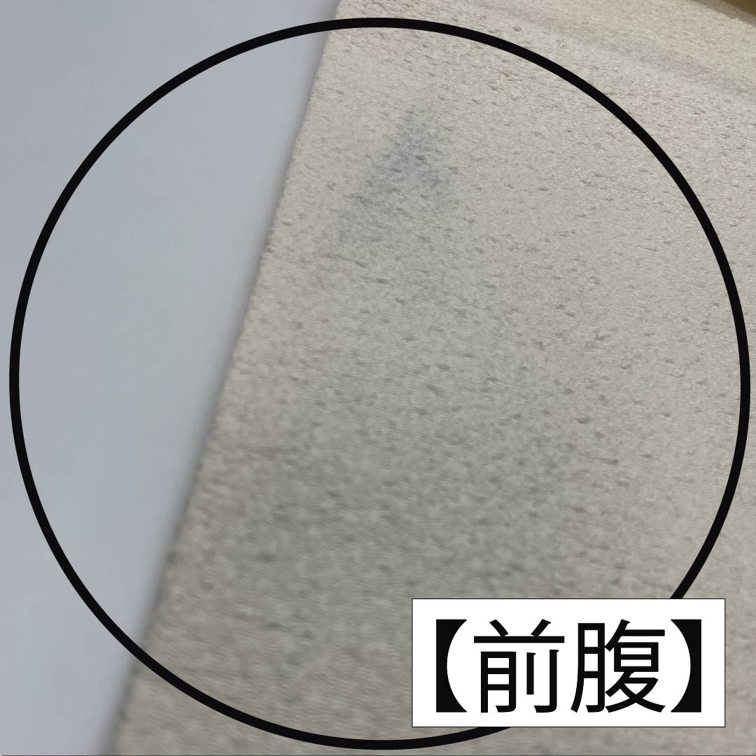 名古屋帯 乳白色色（にゅうはくしょくいろ） 作家物 辻ヶ花 帯丈357cm 正絹 Bランク ポイント柄 セミフォーマル 白系 1124008384311 名古屋仕立て