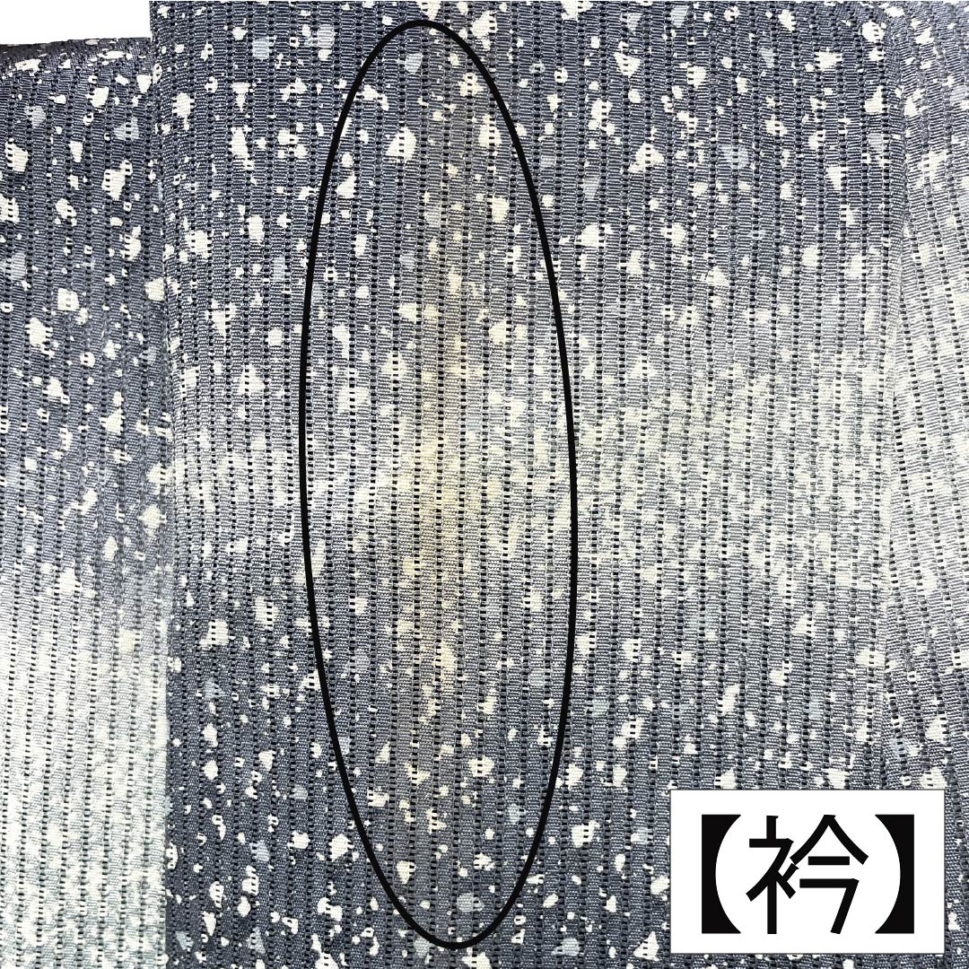 夏物 正絹 訪問着 Aランク 身丈161.5cm 裄丈66cm 浅葱鼠色（あさぎねずいろ） 竪絽 江戸小紋 タタキ染 絽 青系 1132005043417
