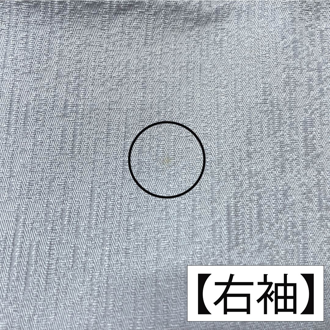 訪問着 正絹 Bランク 袷 身丈168cm 裄丈62cm 白銅色（はくどういろ） 蘇州刺繡 草花 流水 しつけ糸付き グレー系 1112007524522