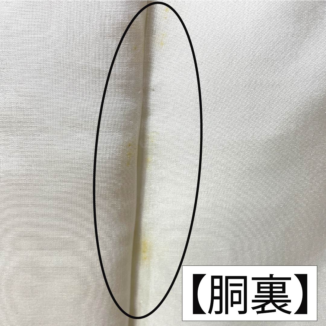 色無地 正絹 Bランク 身丈164.5cm 裄丈65.5cm 支子色（くちなしいろ） 紋意匠 草花模様 一つ紋 袷 黄系 1114003104423