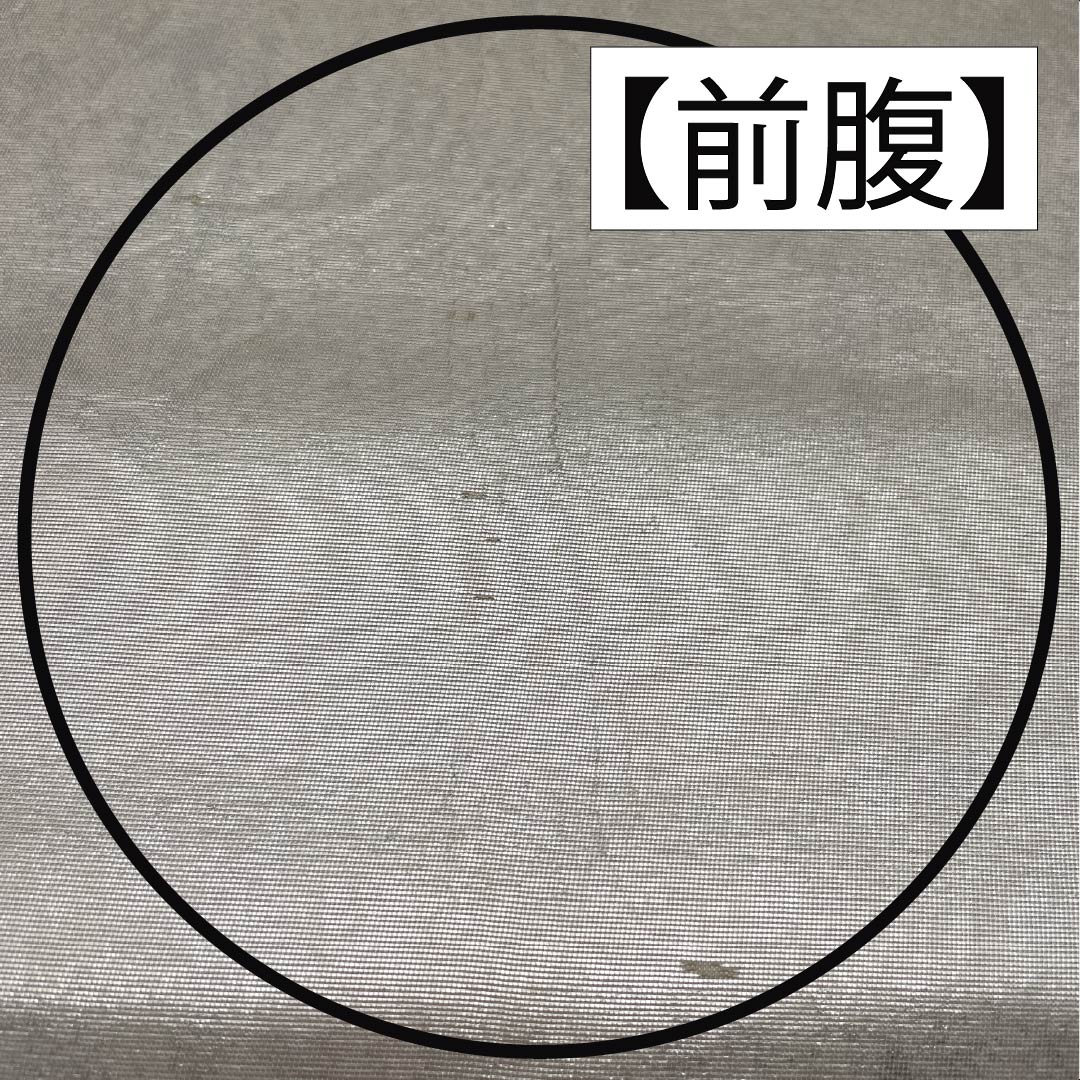 袋帯 正絹 留袖用 引箔 華文 帯丈432cm Bランク ポイント柄 フォーマル 銀系 1123014304322