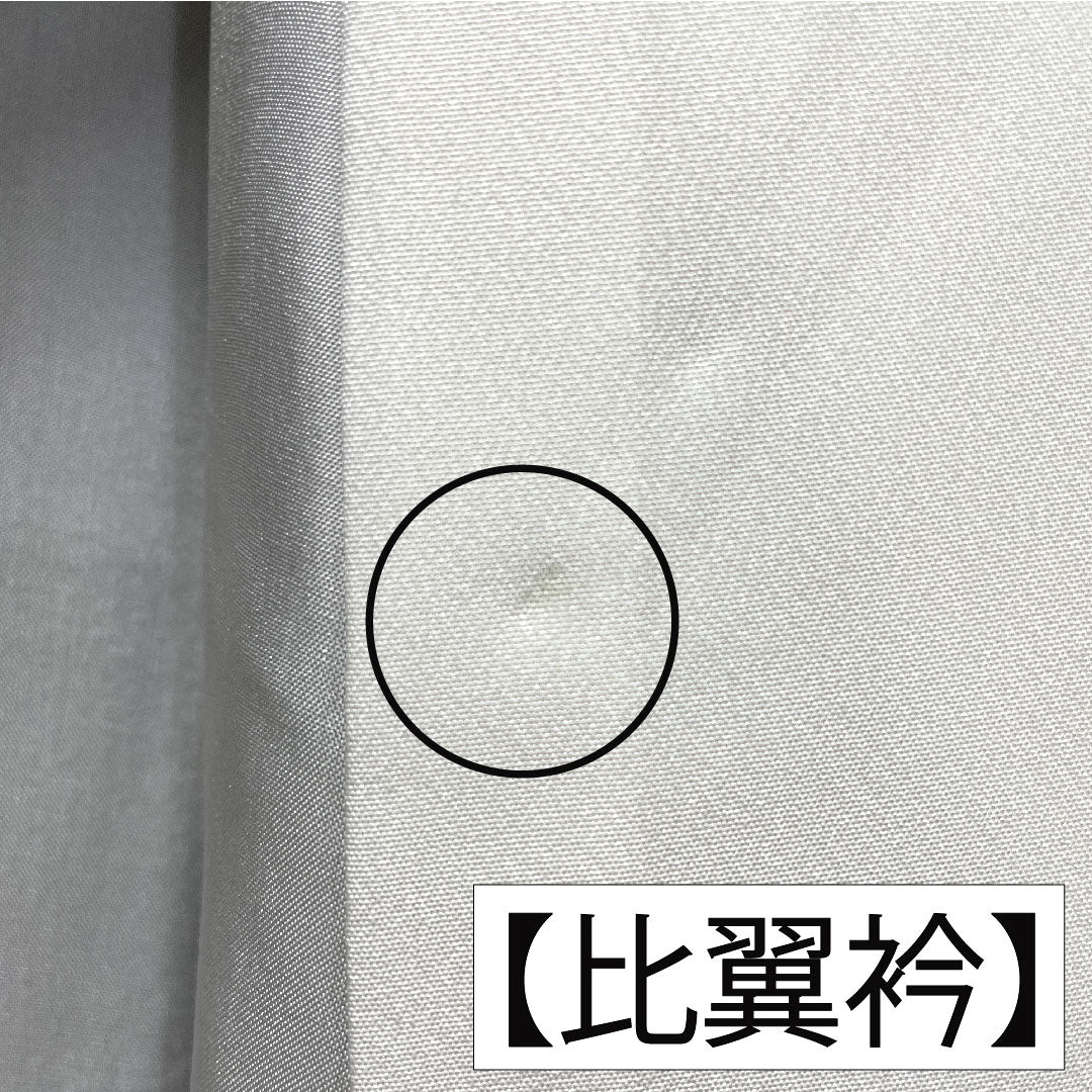 Black formal kimono, pure silk, length 162.5cm, sleeve length 69cm, lined, Kyoto Yuzen, feudal lord procession, artist work, Matsuo Korin, five crests, circle with four corners, A rank, black, 1111001603410