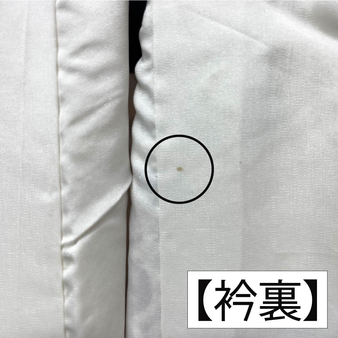 振袖 正絹 Aランク 身丈161.5cm 裄丈65.5cm 袷 乳白色（にゅうはくしょく） 京紅型 吉祥文様 しつけ糸付き 白系 1113002913411