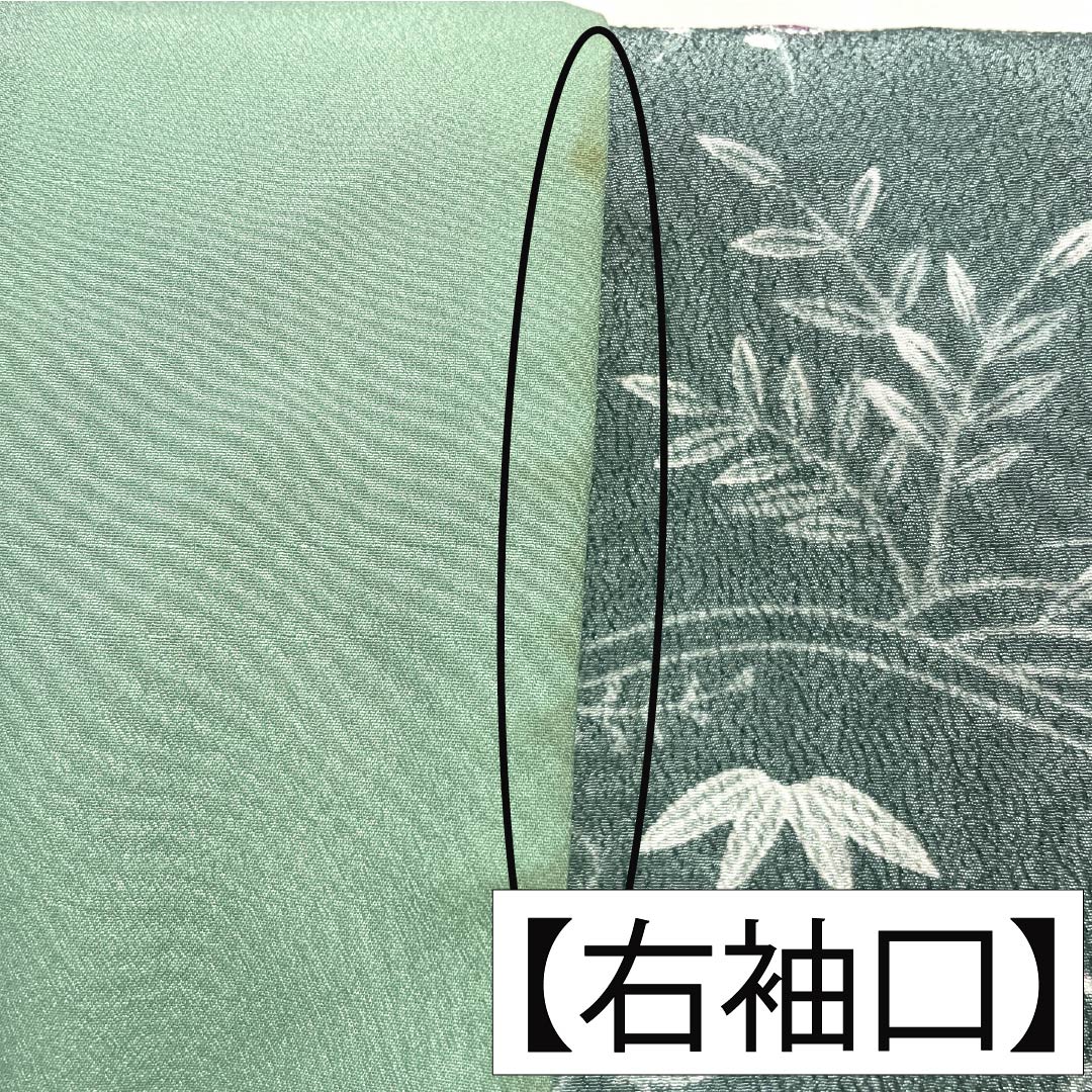 小紋 ポリエステル 身丈158.5cm 裄丈63cm 袷 山藍摺色（やまあいずりいろ） 洗える着物 草木模様 Aランク 緑系 1115005143319