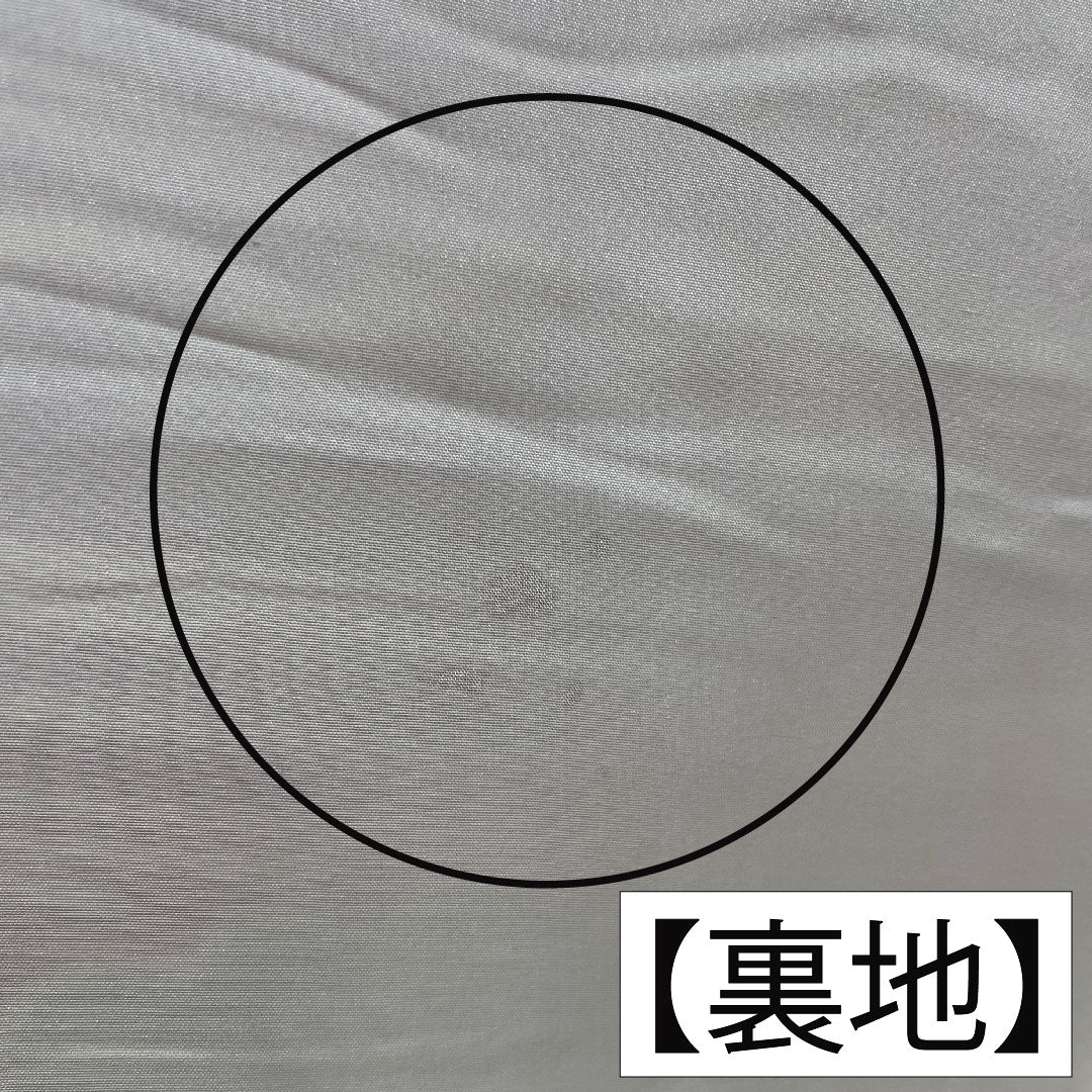 振袖 正絹 身丈160cm 裄丈62.5cm 袷 土耳古赤色（とるこあかいろ） 金通し 露芝 草花模様 Aランク 赤系 1113002043412