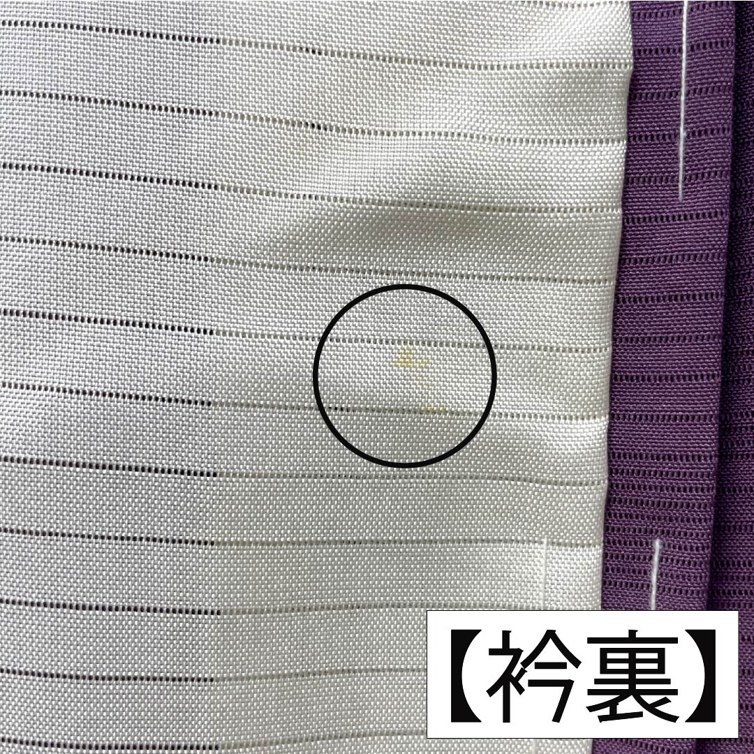 夏物 正絹 色無地 Aランク 身丈158.5cm 裄丈65cm 半色（はしたいろ） 丸に剣片喰 一つ紋 霞模様 絽 紫系 1132003853320