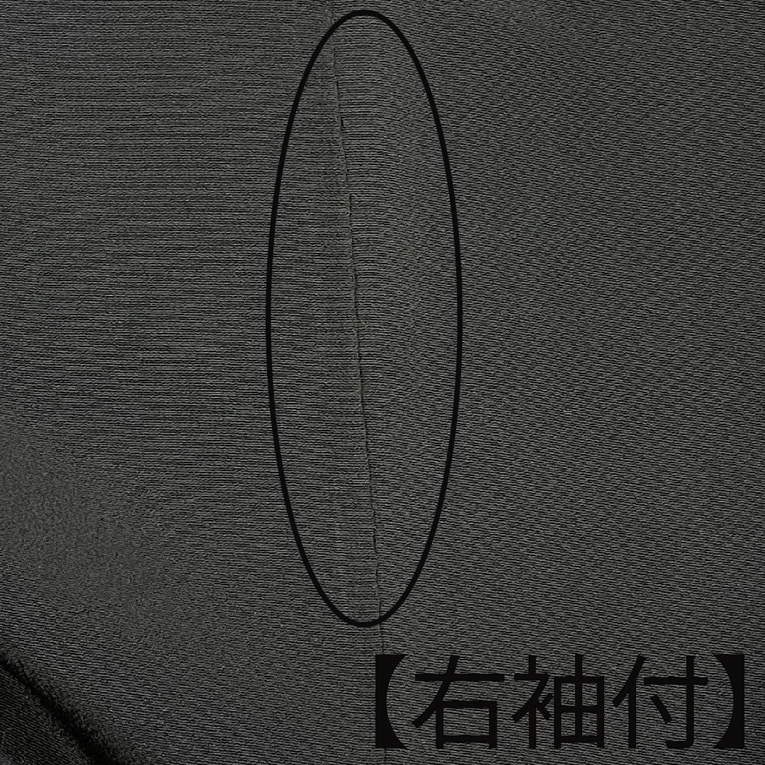 黒留袖 身丈165cm 裄丈65cm 袷 几帳 吉祥文様 丸に二つ引き 正絹 Bランク 五つ紋 黒系 1111000324510