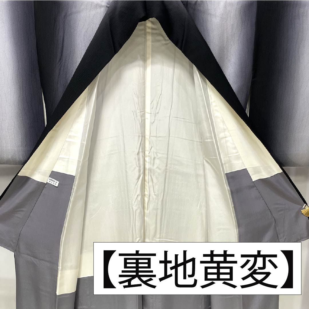 小紋 正絹 Aランク 身丈149cm 裄丈64cm 袷 縦ぼかし シルクガード モノトーン 1115007233127