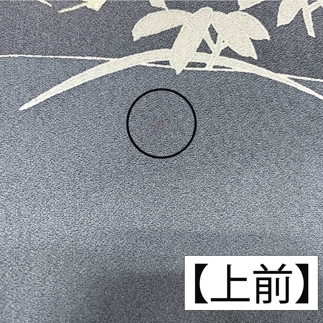 リサイクル着物】訪問着 正絹 Aランク 袷 身丈153cm 裄丈63.5cm 魚肚白