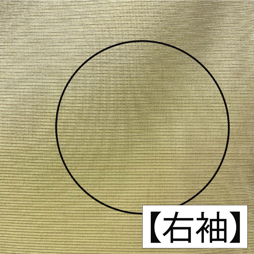 夏物 ポリエステル 色無地 Aランク 身丈162.5cm 裄丈67cm 白橡色（しろつるばみいろ） 洗える着物 素無地 絽 黄系 1132004143423