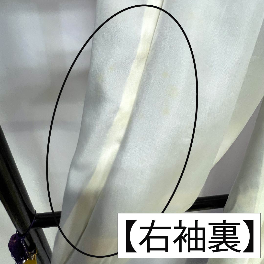 訪問着 正絹 Bランク 袷 身丈158cm 裄丈63.5cm 紺瑠璃色（こんるりいろ） 京紅型 吉祥文様 松竹梅 菖蒲 鳥 青系 1112007284317