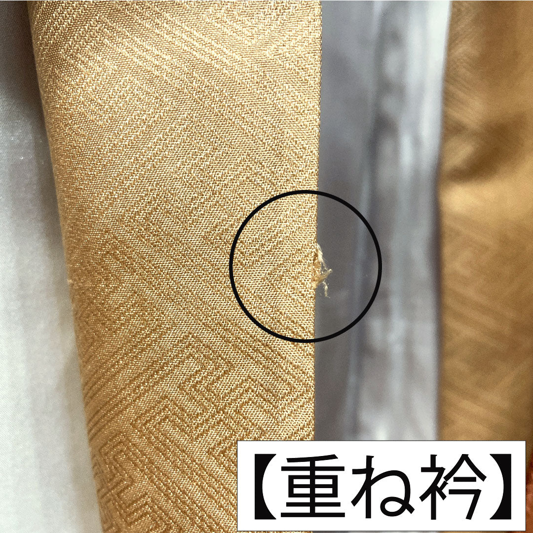 色留袖 正絹 身丈157cm 裄丈63cm 袷 珊瑚色（さんごいろ） 京友禅 桜 松竹梅 一つ紋 星梅鉢 重ね衿付き Aランク 橙系 1111001513326
