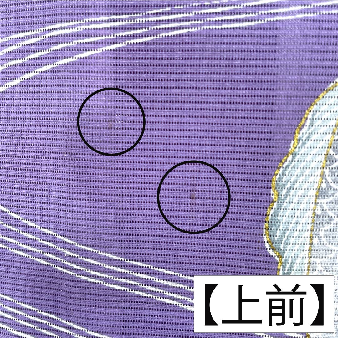 夏物 ポリエステル 訪問着 Bランク 身丈155.5cm 裄丈63cm 紫苑色（しおんいろ） 付下げ 鯉 流水 絽 紫系 1132004474320