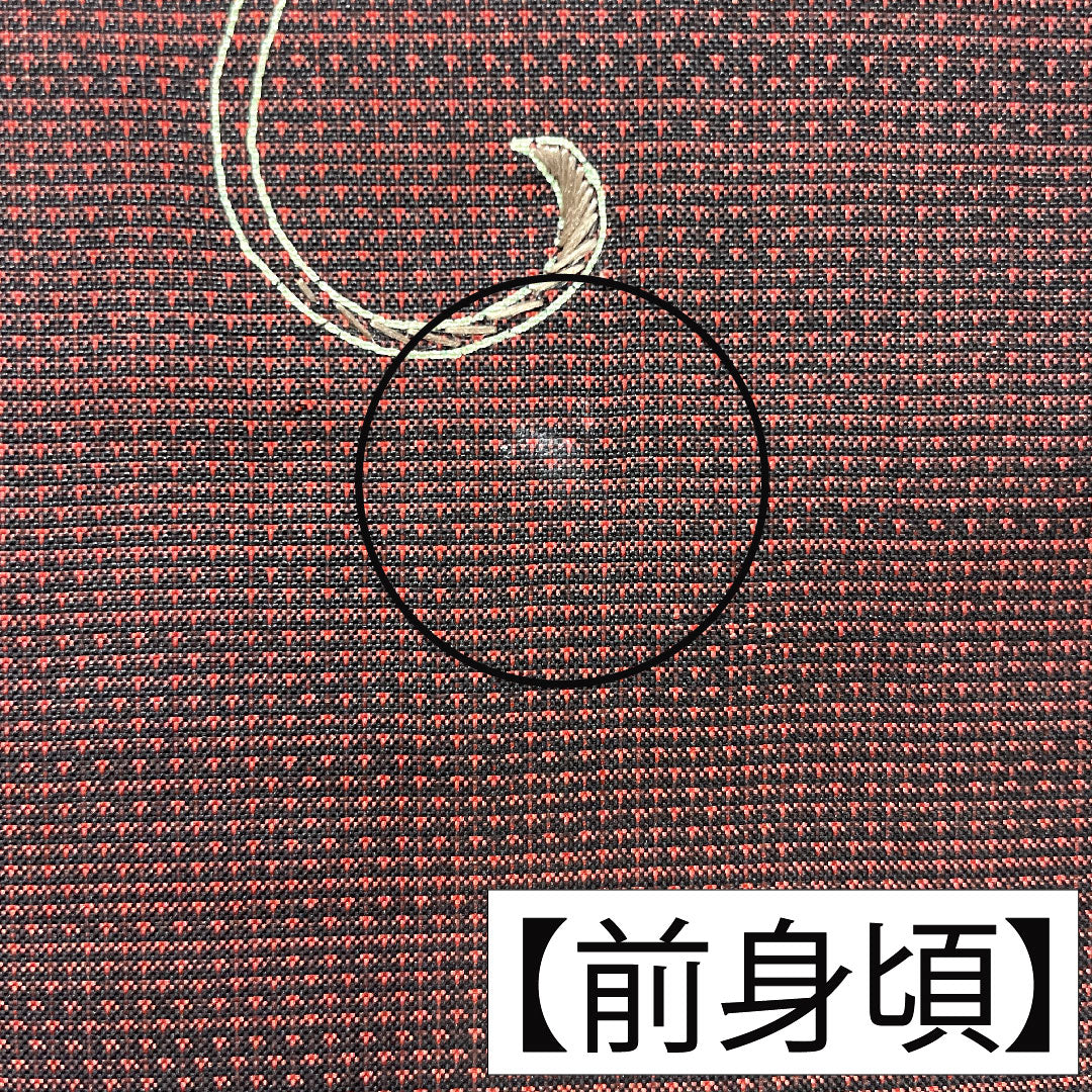 訪問着 正絹 袷 身丈158.5cm 裄丈65cm 生臙脂色（しょうえんじいろ） 大島紬地 紬地 蘇州刺繡 草花模様 Aランク 赤系 1112005493312