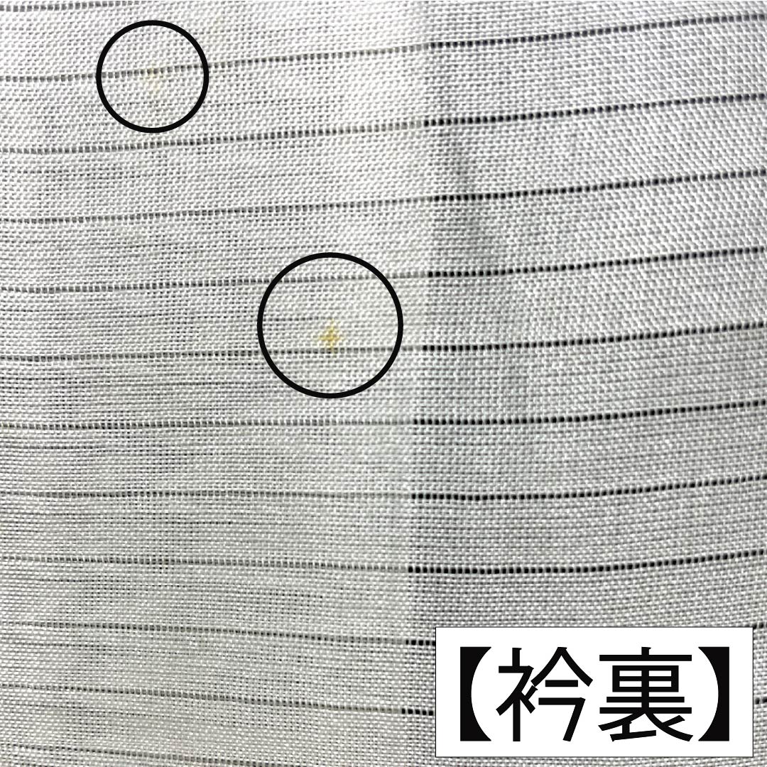 夏物 正絹 色無地 Aランク 身丈159.5cm 裄丈64.5cm 濃紺色（のうこんいろ） 草花模様 紋紗 紗 紺系 1132003723318