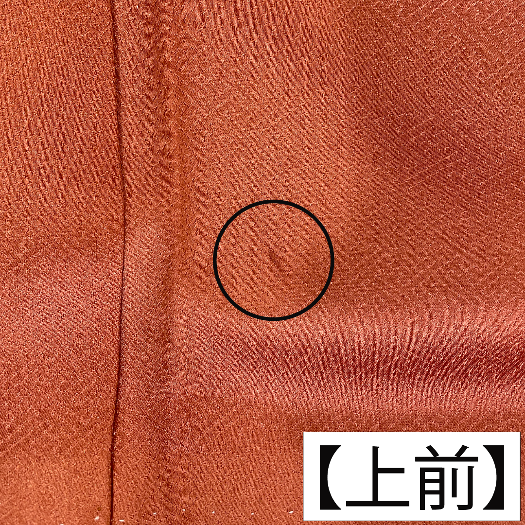 色留袖 正絹 身丈166cm 裄丈65cm 袷 紅唐色（べにとういろ） 京友禅 格天井 宝尽くし 一つ紋 左離れ立葵 Aランク 朱系 1111001563516