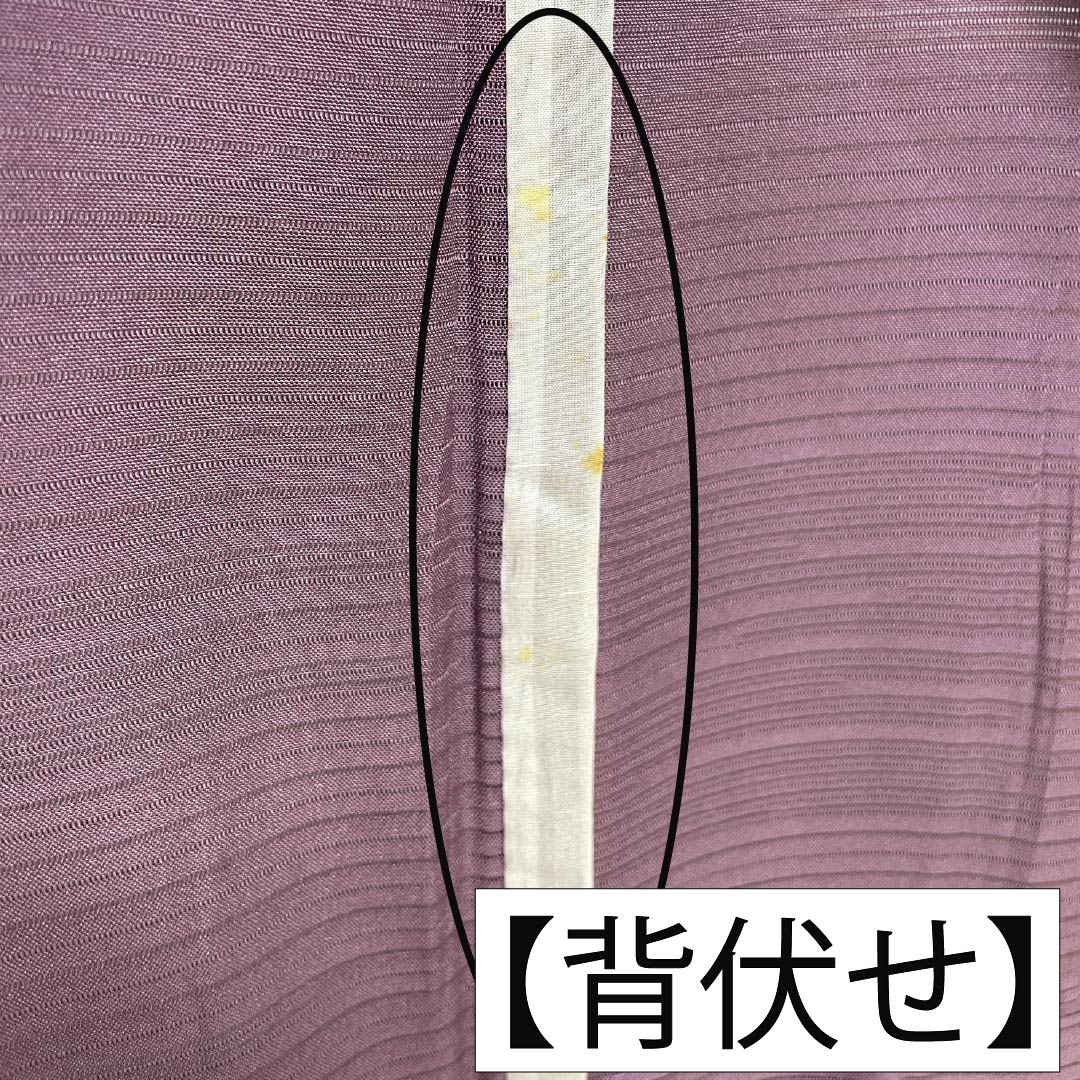 夏物 正絹 色無地 Aランク 身丈158.5cm 裄丈65cm 半色（はしたいろ） 丸に剣片喰 一つ紋 霞模様 絽 紫系 1132003853320