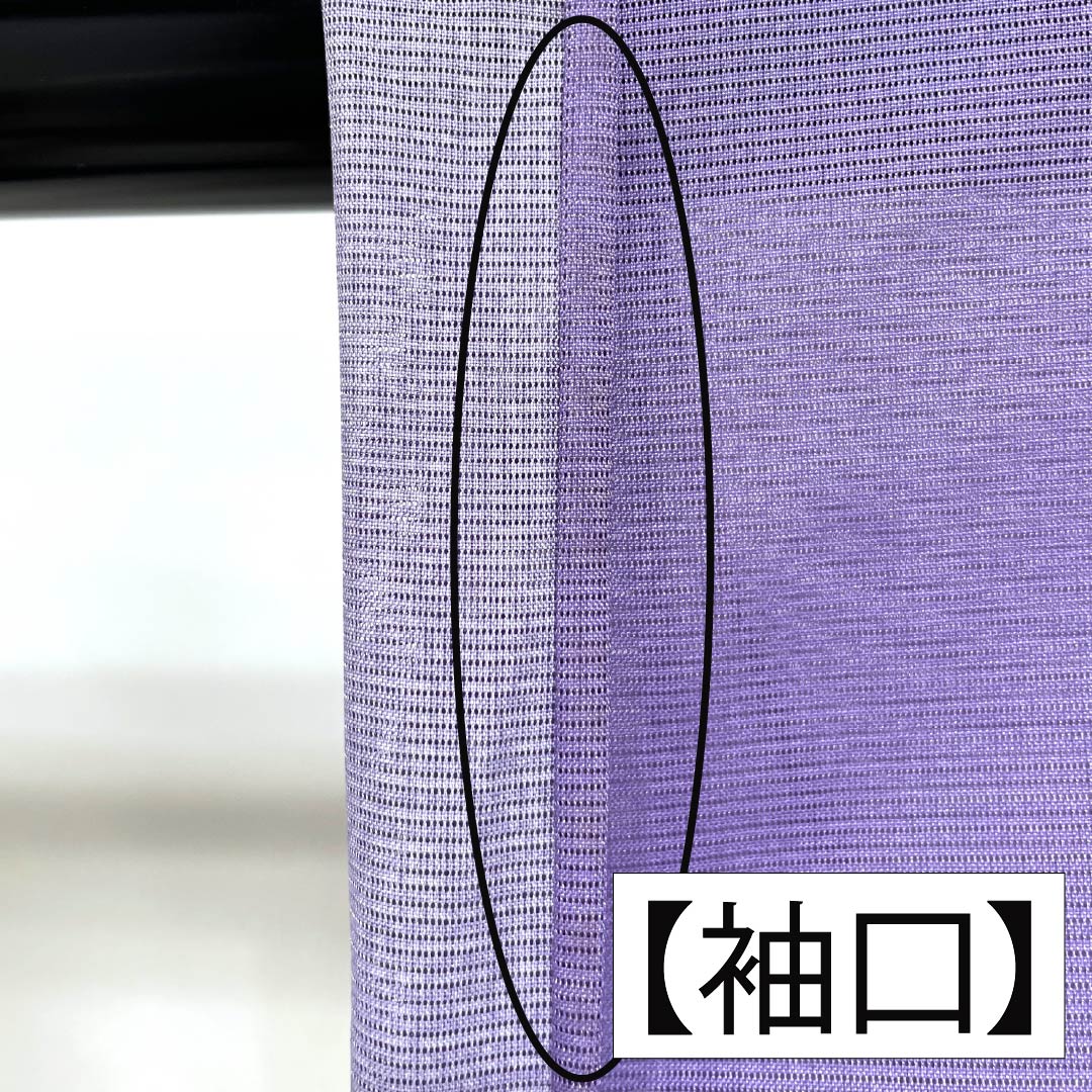 夏物 ポリエステル 訪問着 Bランク 身丈155.5cm 裄丈63cm 紫苑色（しおんいろ） 付下げ 鯉 流水 絽 紫系 1132004474320